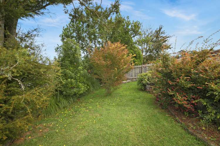 17 Kaka Street Piopio_22