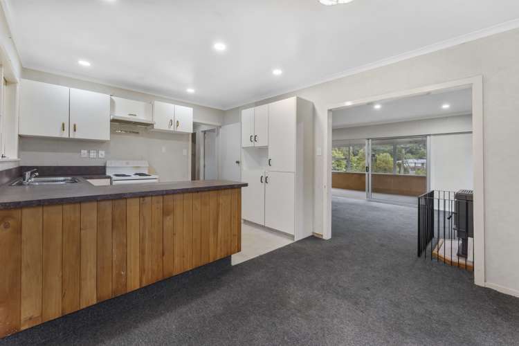 17 Puriri Street Miramar_6