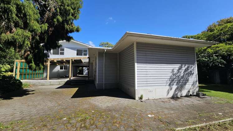 275a Carrington Street Vogeltown_18