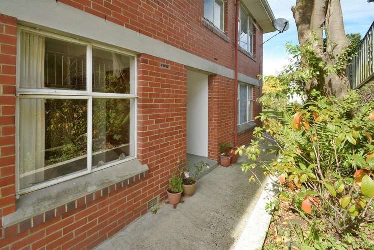 67b Hawthorn Avenue Mornington_6