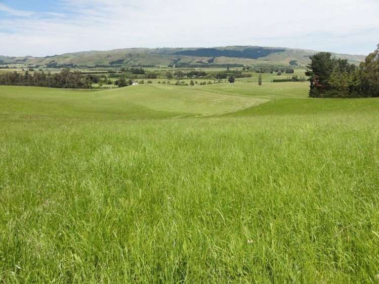 573 Glenmark Drive Waipara_12