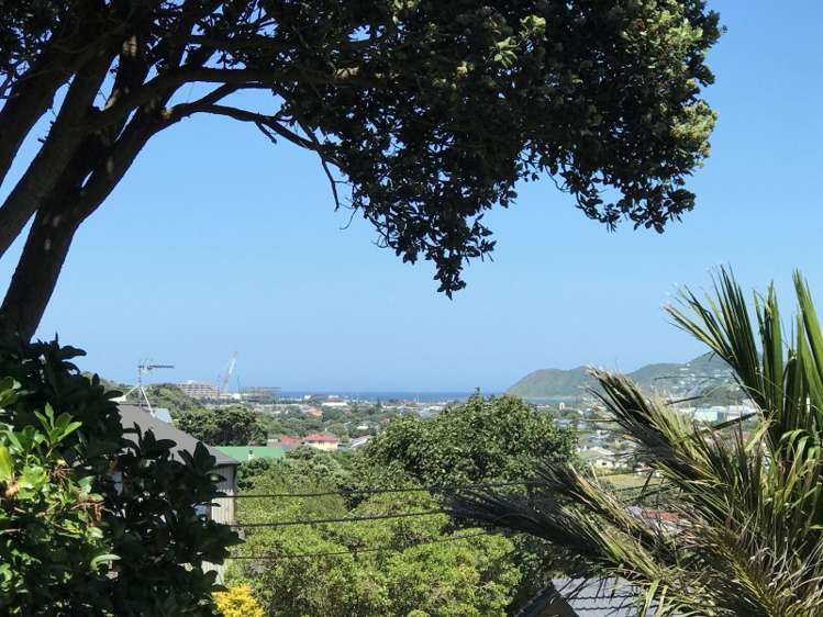 111 Totara Road Miramar_16