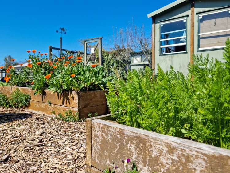 29 Waitapu Road Takaka_22