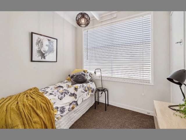 2/232 Campbell Road Greenlane_3