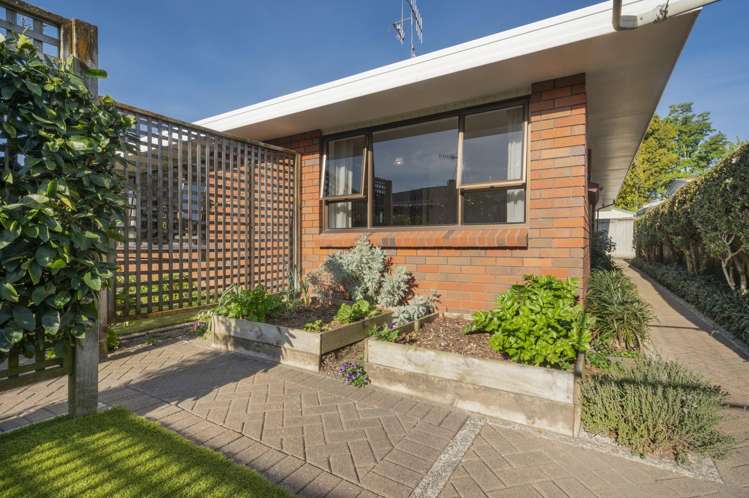 109A Edgecumbe Road Tauranga South_7