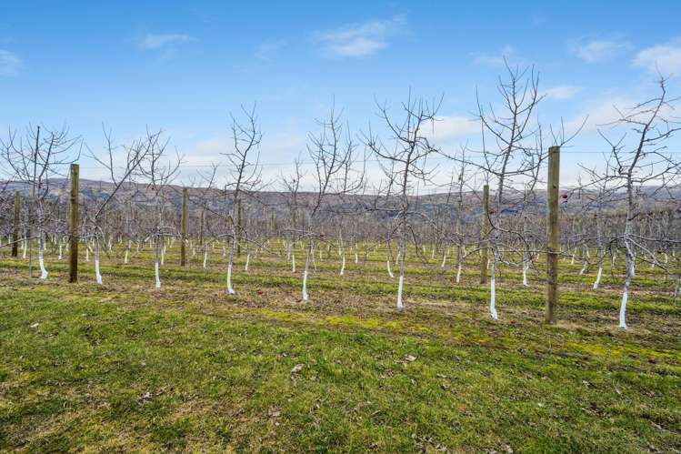 213 Kinaston Road Roxburgh_20