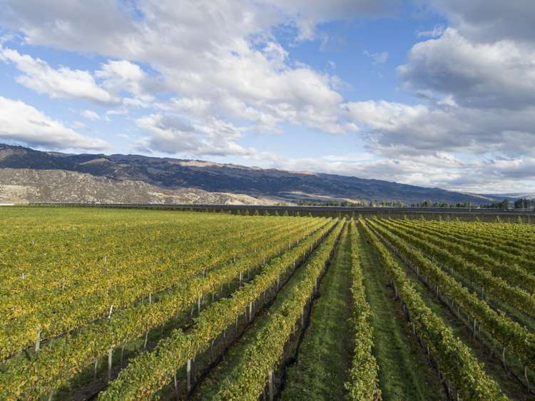 Ata Mara, 1427 Luggate-Cromwell Road and 67G Rush Lane Mount Pisa_5