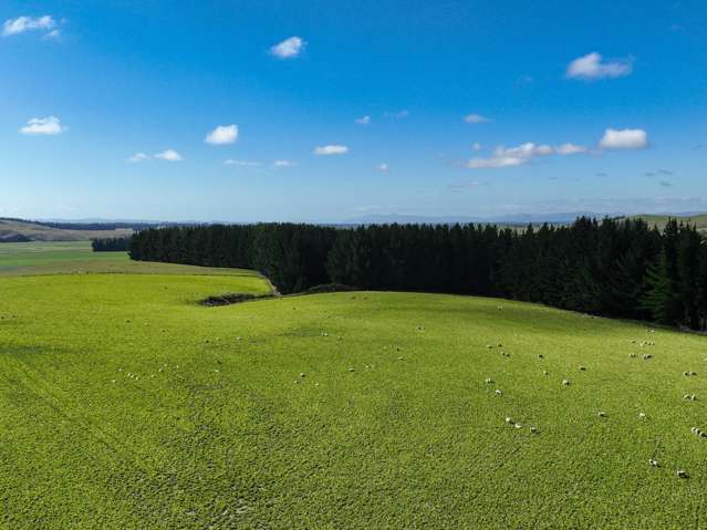 125 Tomogalak Road Ardlussa_4