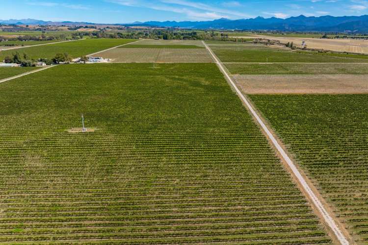 1 Wairau Plains Renwick_17