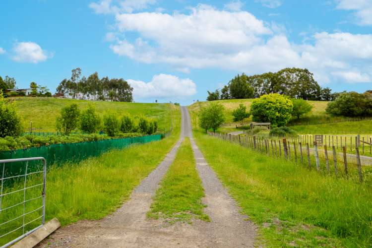 101 Kyle Road Waipukurau and Surrounds_9