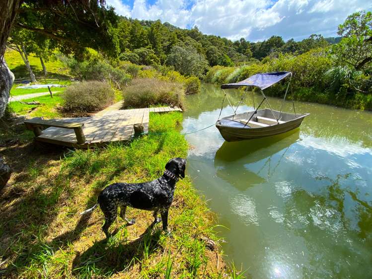 59 Ashton Road & Birdsall Road, Whangateau Leigh_17