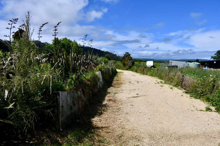 366 Oparara Loop Road Karamea_7