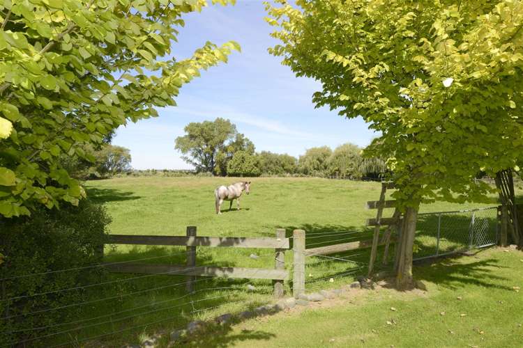 91 Cordys Road Hororata_15