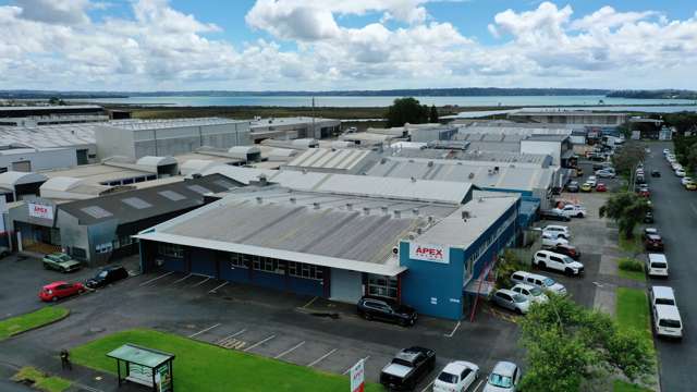 367 Rosebank Road Avondale_4