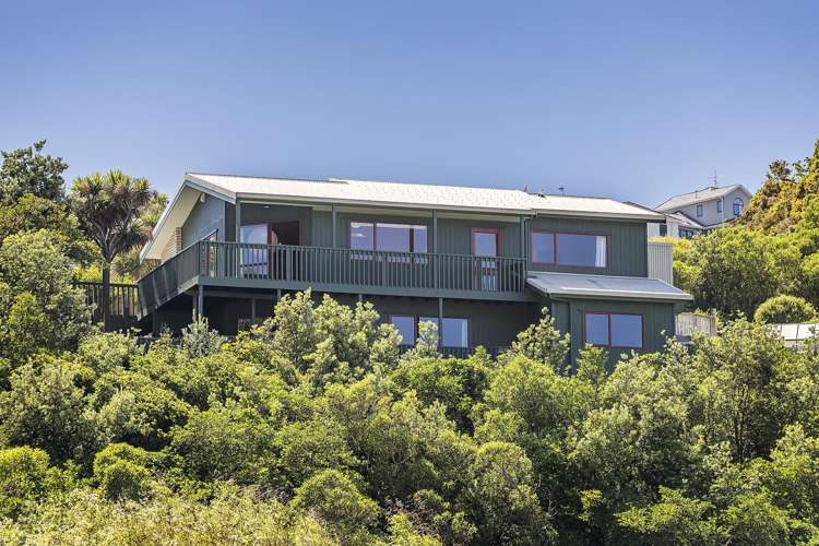 14a Domanski Crescent Owhiro Bay_1