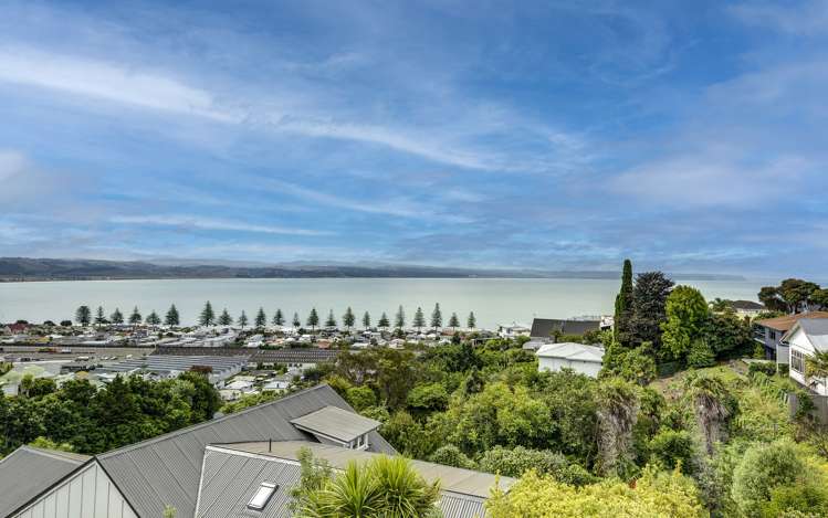 14 Roslyn Road Bluff Hill_13
