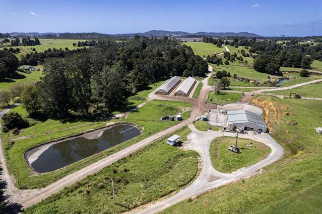 731 Puhipuhi Road Whakapara_3