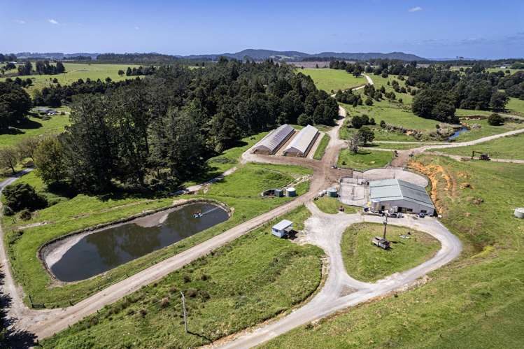 731 Puhipuhi Road Whakapara_3