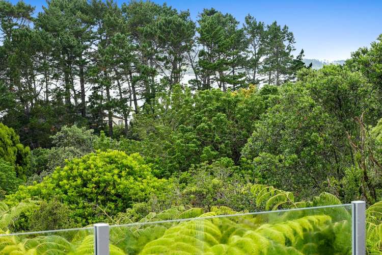 3 Ben James Drive Hillsborough_25