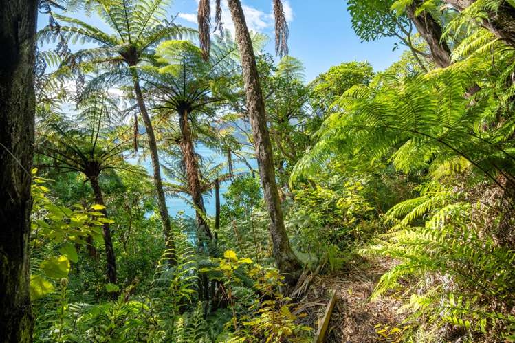 Lot 1 Blackwood Bay Queen Charlotte Sound_17