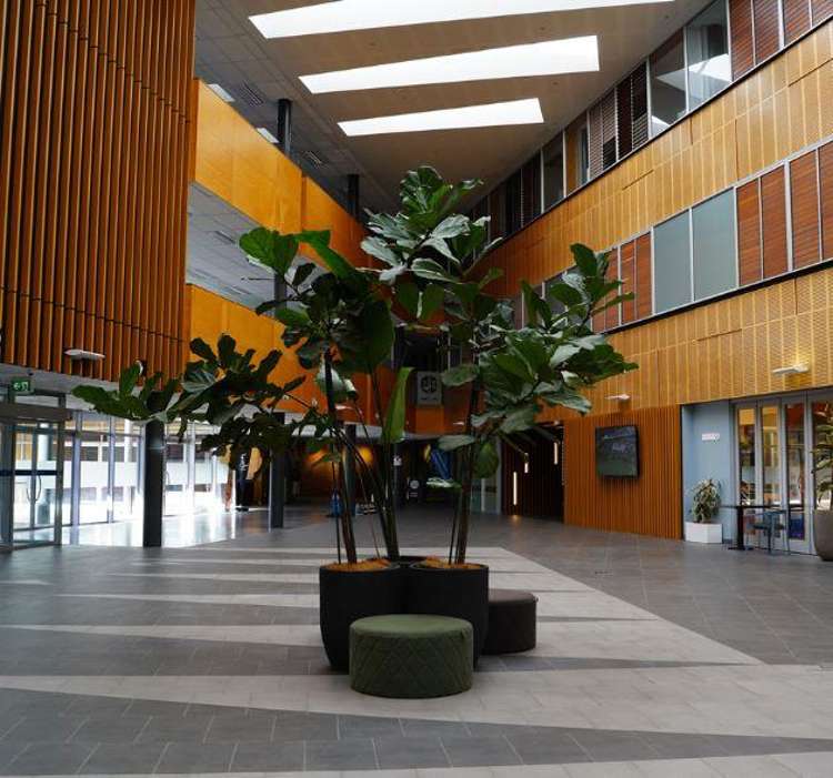 L2, 263 Morrin Road Saint Johns_3