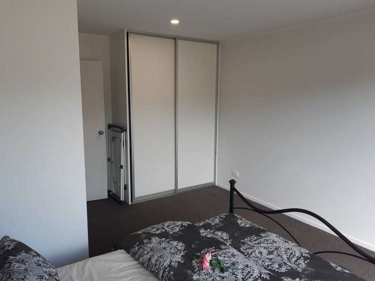 298b Belk Road Kaimai_6