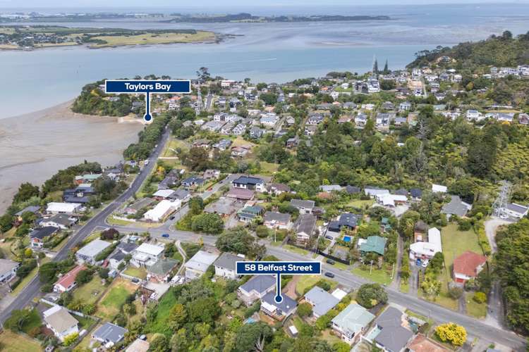 58 Belfast Street Hillsborough_17