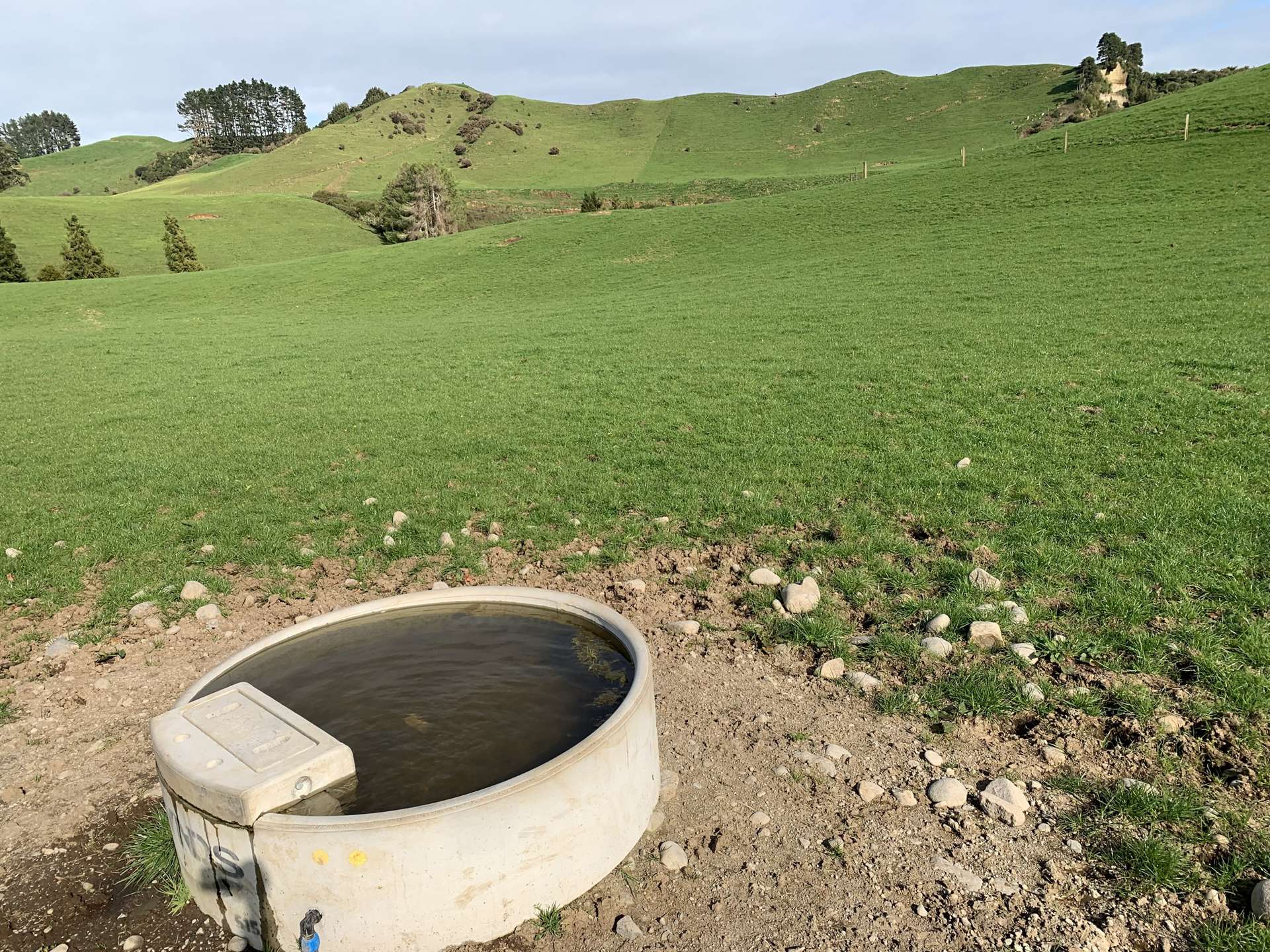 895 Bird Road Pukengahu Stratford Rural Property For Sale One Roof