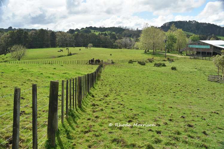726 Paparoa Station Road Maungaturoto_92