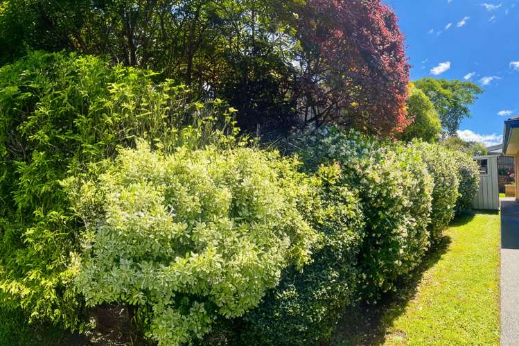 96 Alnwick Street Warkworth_25