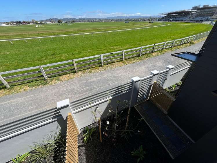 46 Elm Street Avondale_25