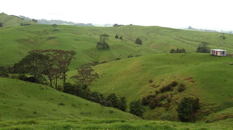 State Highway One Taupo_12