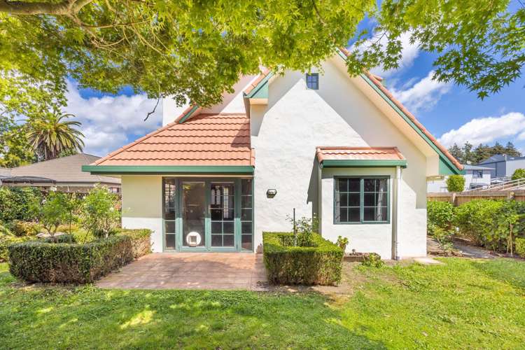 101B Clarence Street Hamilton Lake_8