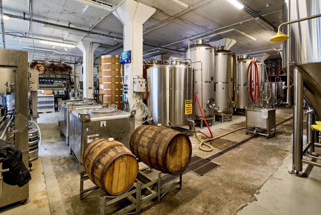 7 Marion Street Te Aro_2