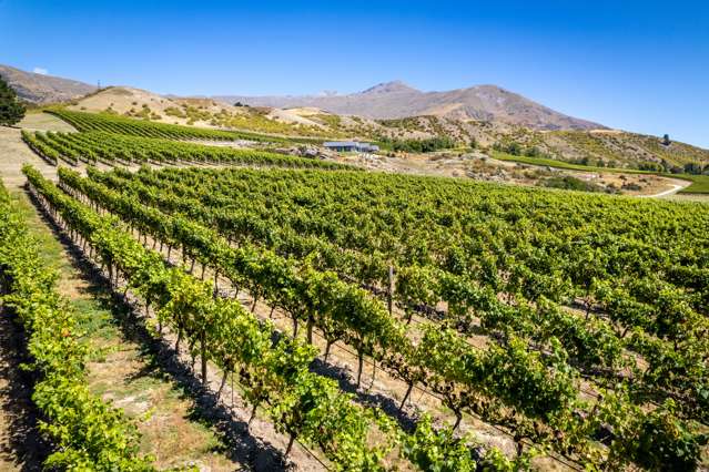 2116 Gibbston Highway Gibbston_4