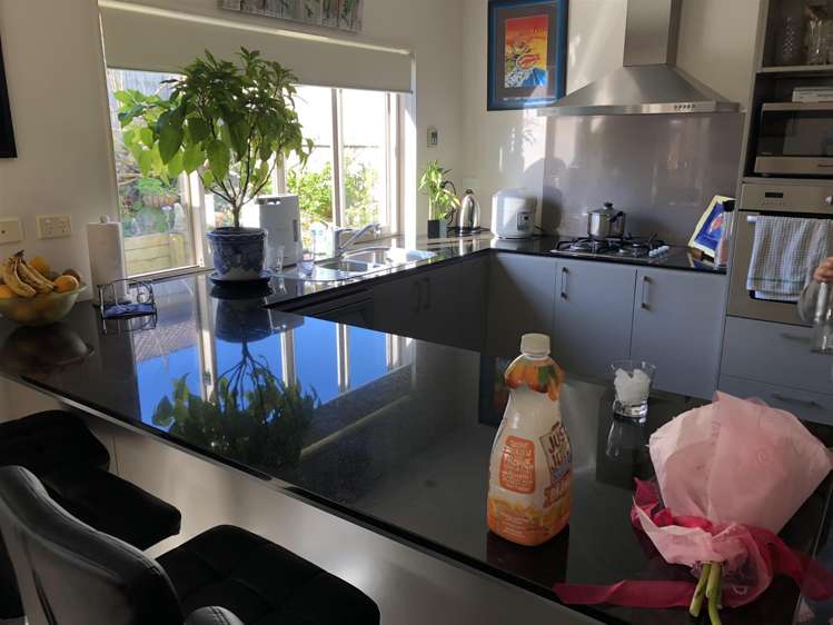 17 Plantation Avenue Flat Bush_4