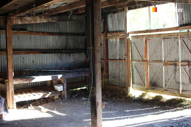 24 Campbelton Street Lawrence_16