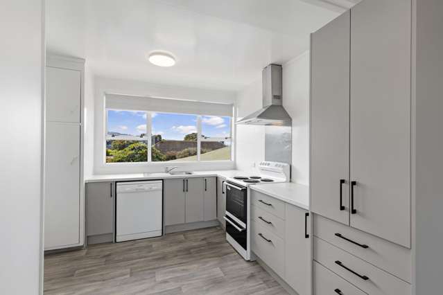 4/1 Aurora Street Petone_2