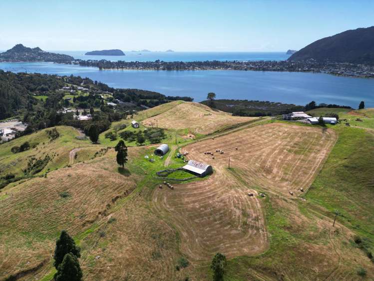 3327 Tairua Sh25 Road Pukepoto_23