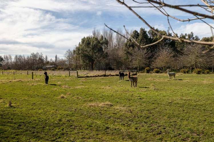 434 Collins Road Springston_25