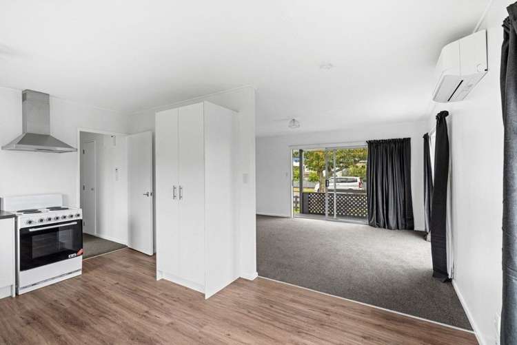 9 Guy Avenue Levin_3