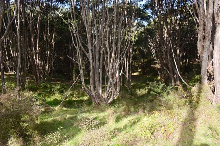 Lot 6, 131b Paul Road Tairua_6