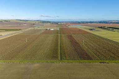 Purchas Road_4