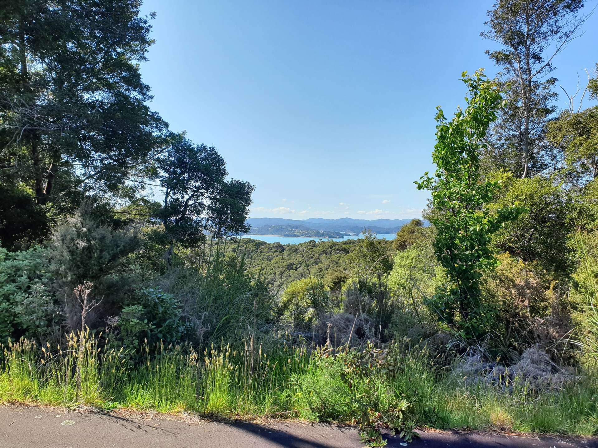 70d School Road Paihia_0