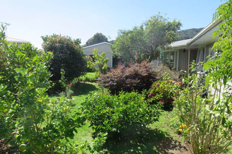 405 Ensor Street Thames_22