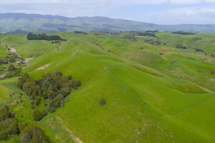 137 Zigzag Road Pohangina Valley_8