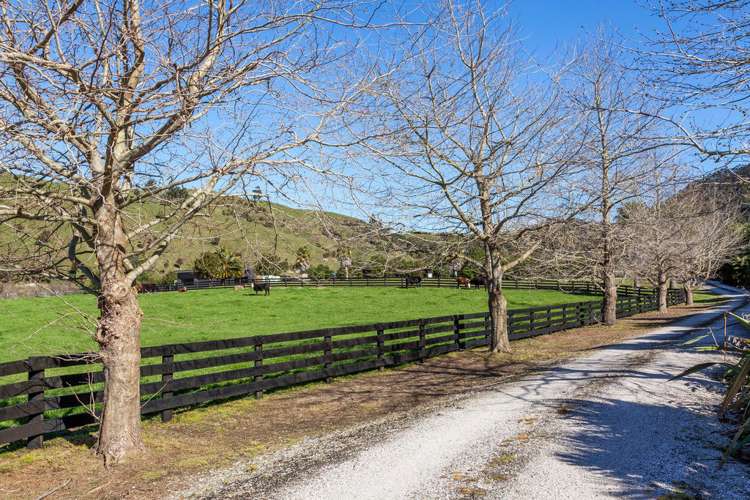 385 Wentworth Valley Road Whangamata_28