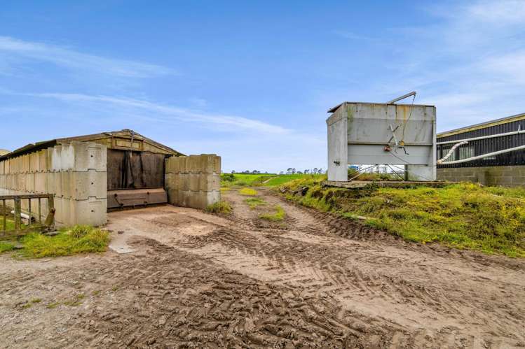 358 Opunake Road Cardiff_22