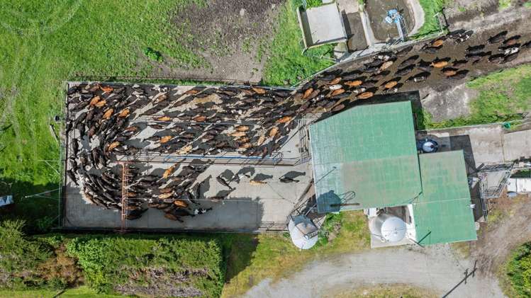 150 Swamp Road Springston_10