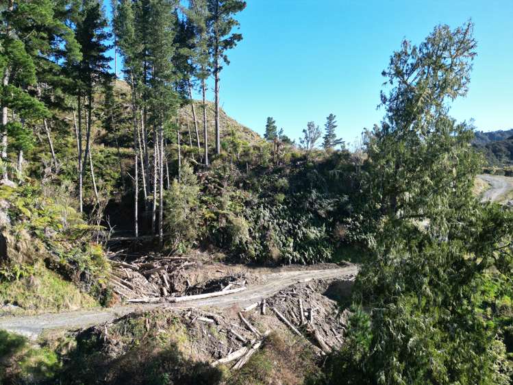 Cnr Whanganui River Road and Otunui South Road Taumarunui_22